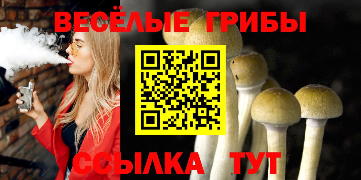 Псилоцибиновые грибы Cubensis  Вход с VPN  Гусь-Хрустальный 